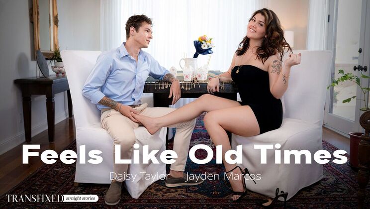 Transfixed - Daisy Taylor - Jayden Marcos - Feels Like Old Times / 04.11.2023